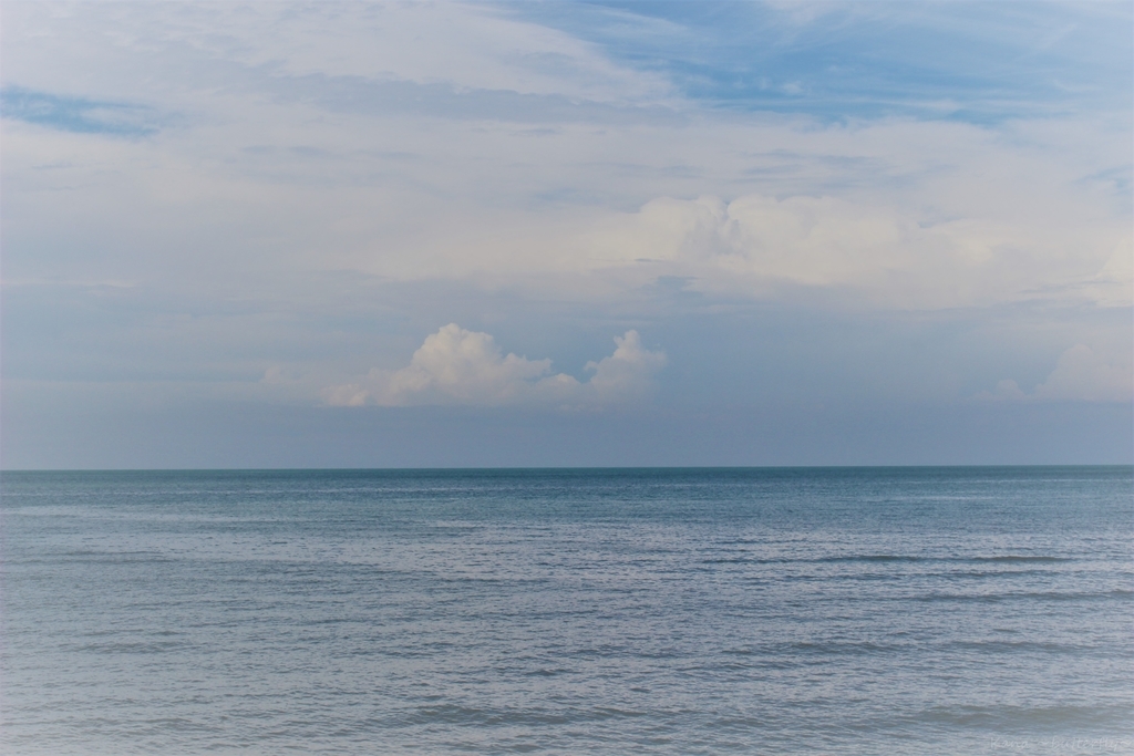 f:id:solo-butterfly:20190220151710j:plain