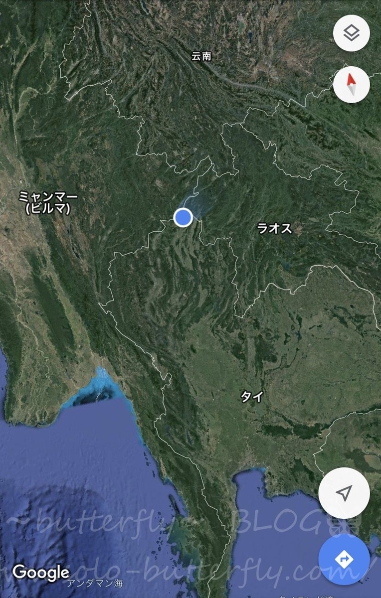 f:id:solo-butterfly:20190619133227j:plain f:id:solo-butterfly:20190619133227j:plain