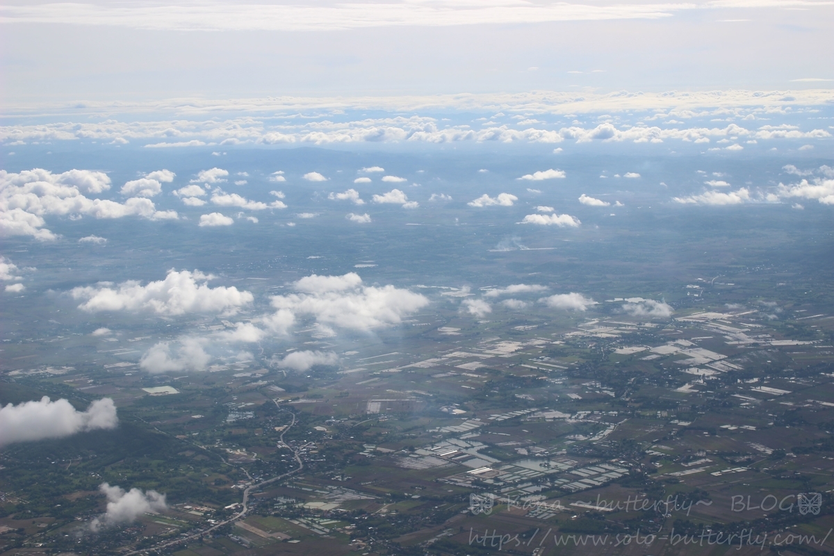 f:id:solo-butterfly:20190622024051j:plain