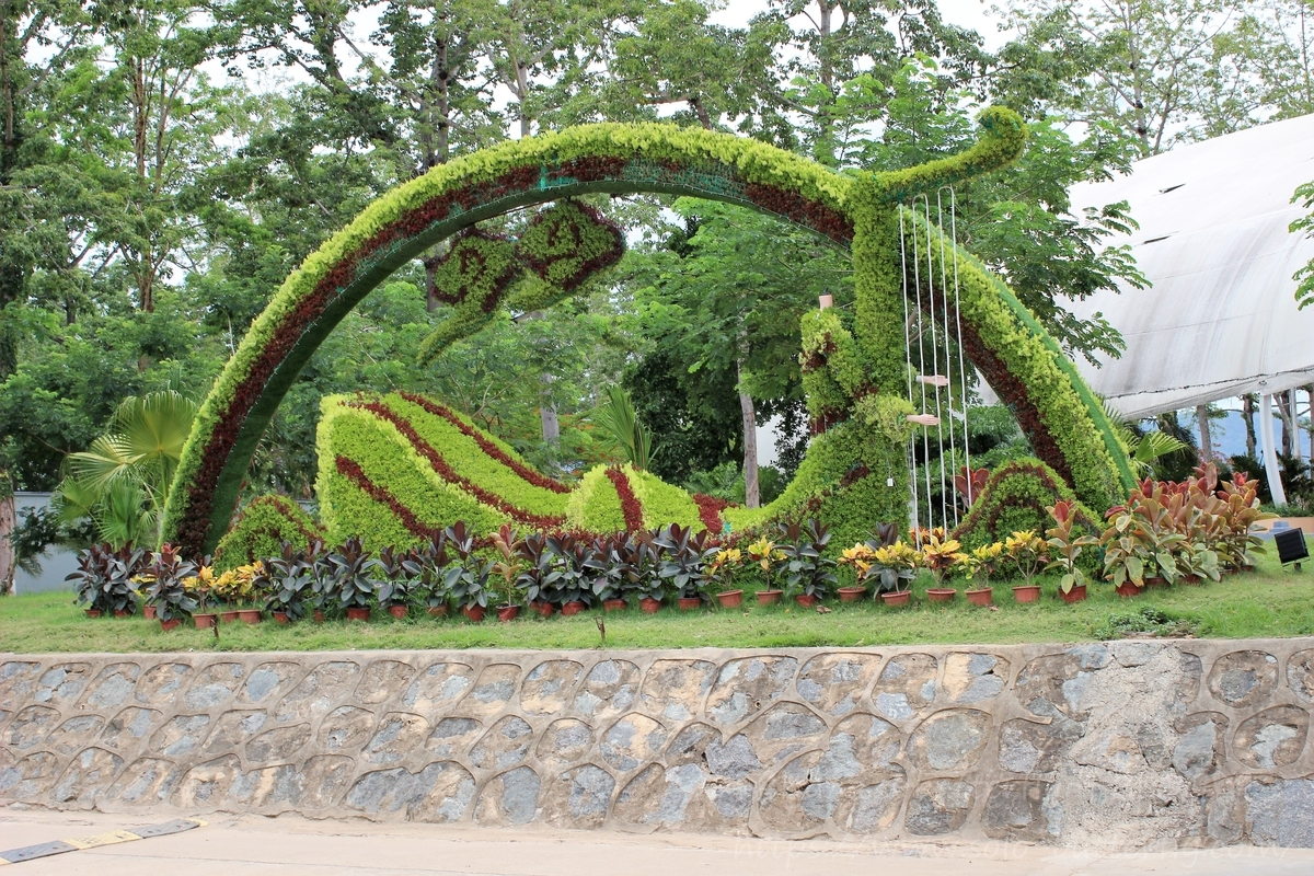 f:id:solo-butterfly:20190702232719j:plain f:id:solo-butterfly:20190702232719j:plain