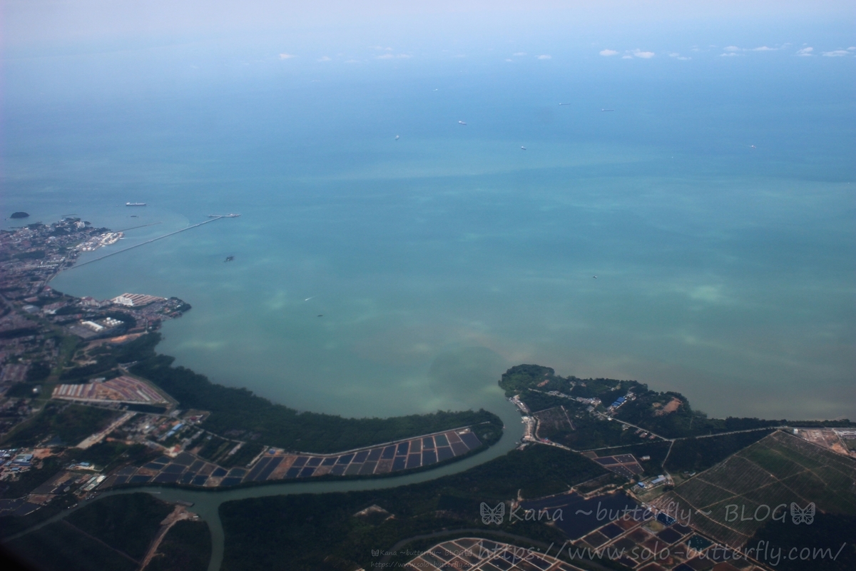 f:id:solo-butterfly:20190729005737j:plain