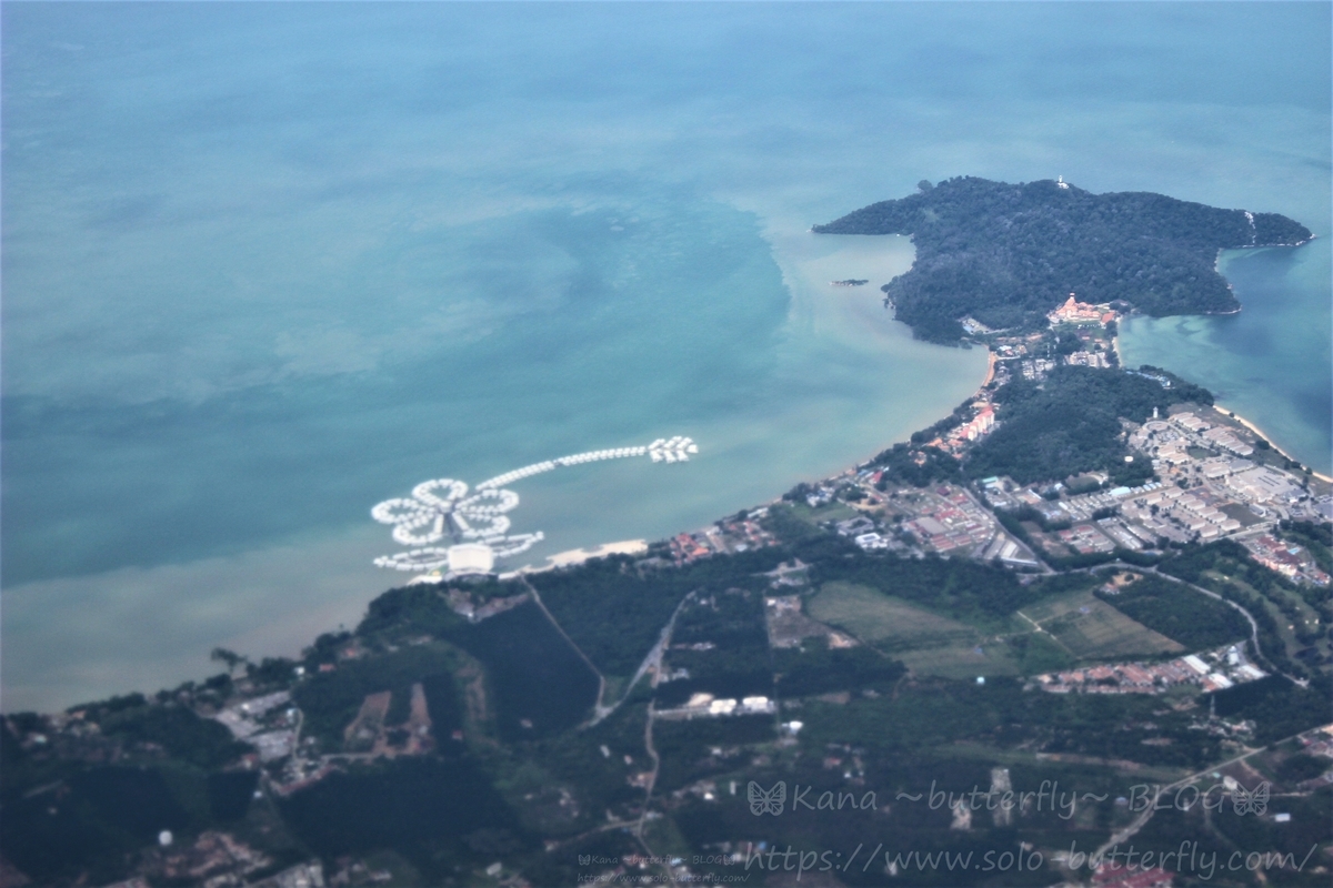 f:id:solo-butterfly:20190729005807j:plain