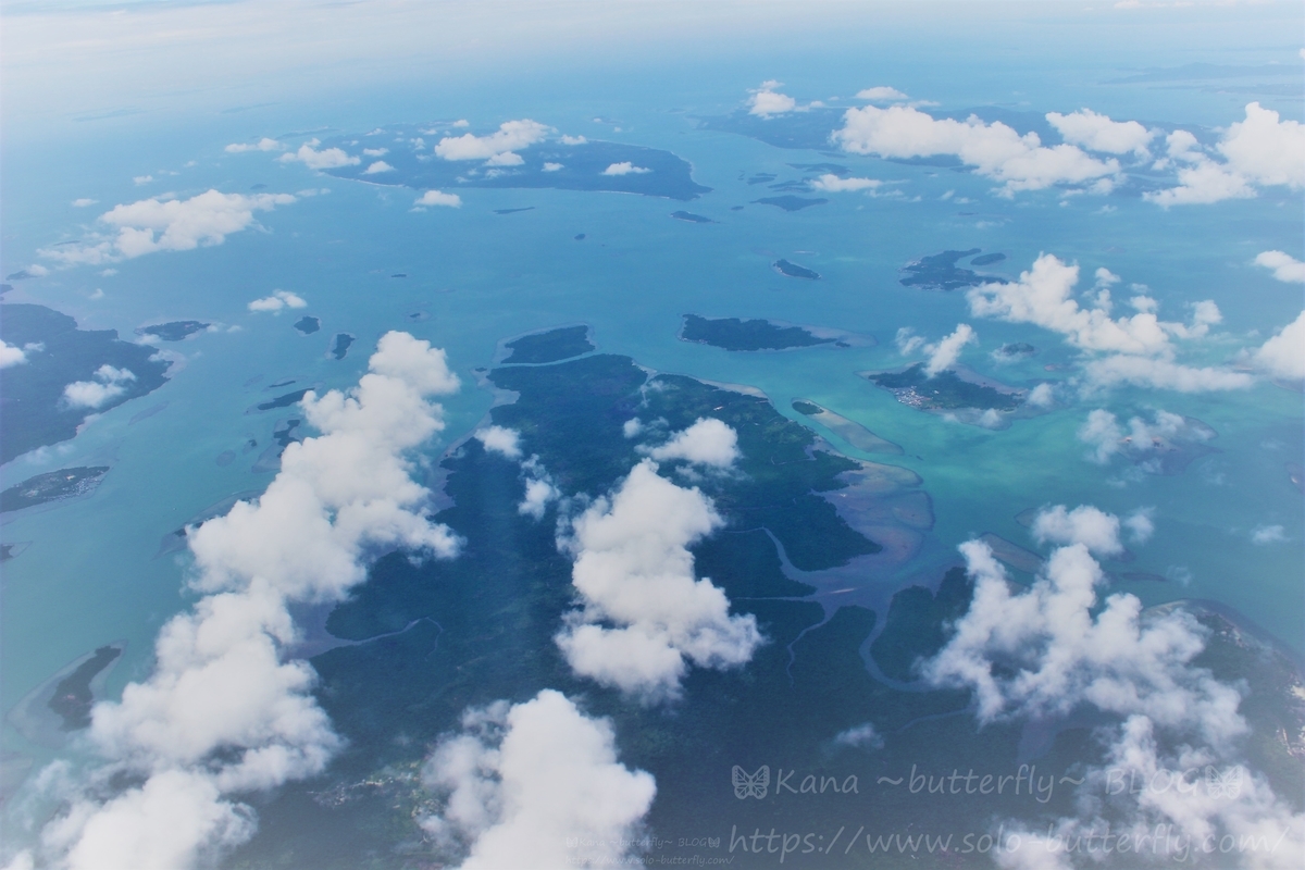 f:id:solo-butterfly:20190729010021j:plain