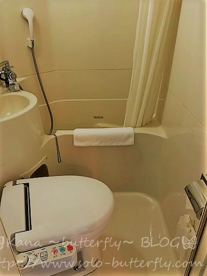f:id:solo-butterfly:20201108170334j:plain f:id:solo-butterfly:20201108170334j:plain