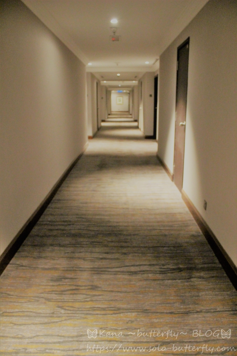 f:id:solo-butterfly:20201116182450j:plain