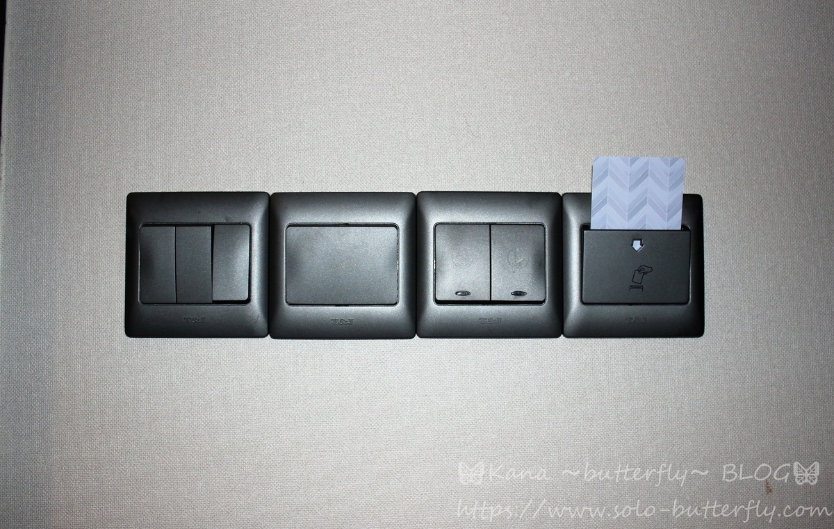 f:id:solo-butterfly:20201116182625j:plain