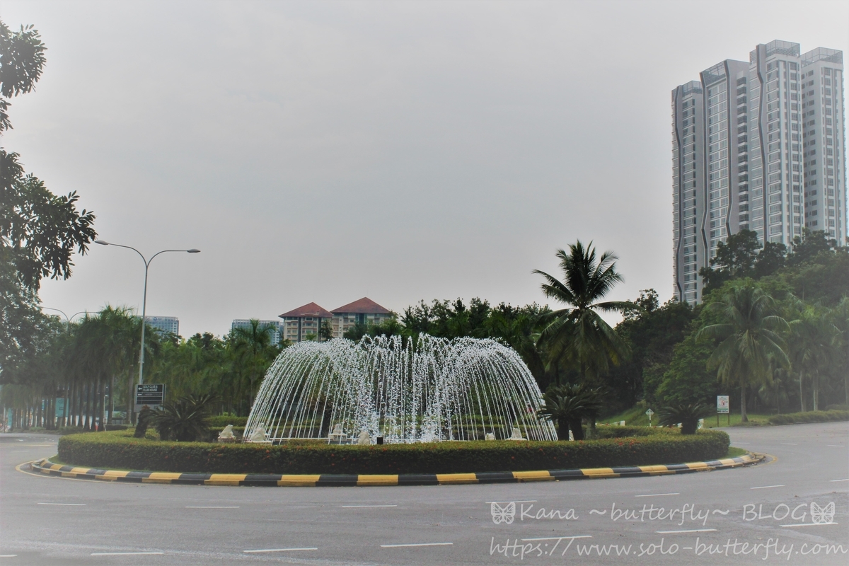 f:id:solo-butterfly:20201116202112j:plain