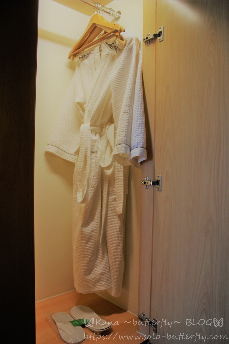 f:id:solo-butterfly:20210121213519j:plain