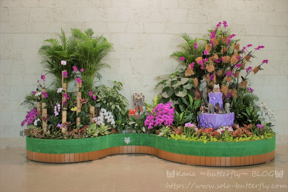 f:id:solo-butterfly:20210314033056j:plain