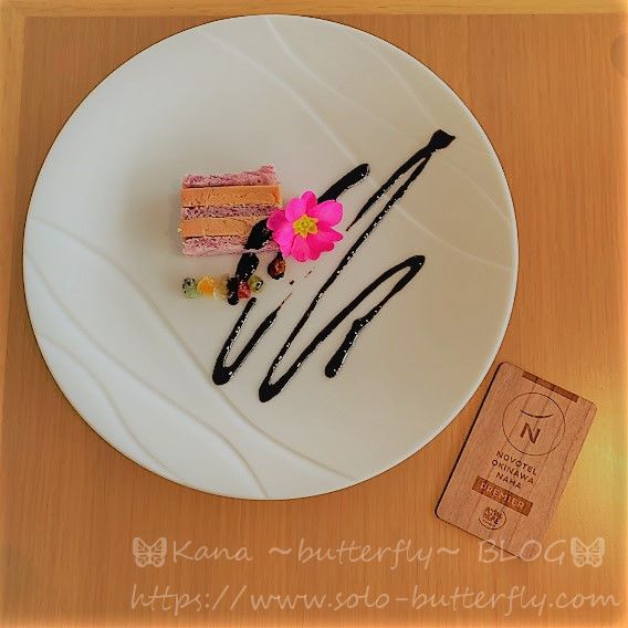 f:id:solo-butterfly:20210331112348j:plain