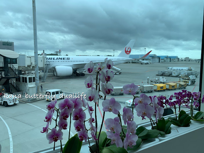 f:id:solo-butterfly:20220312163229j:plain