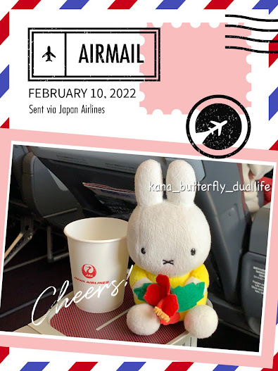f:id:solo-butterfly:20220312203509j:plain