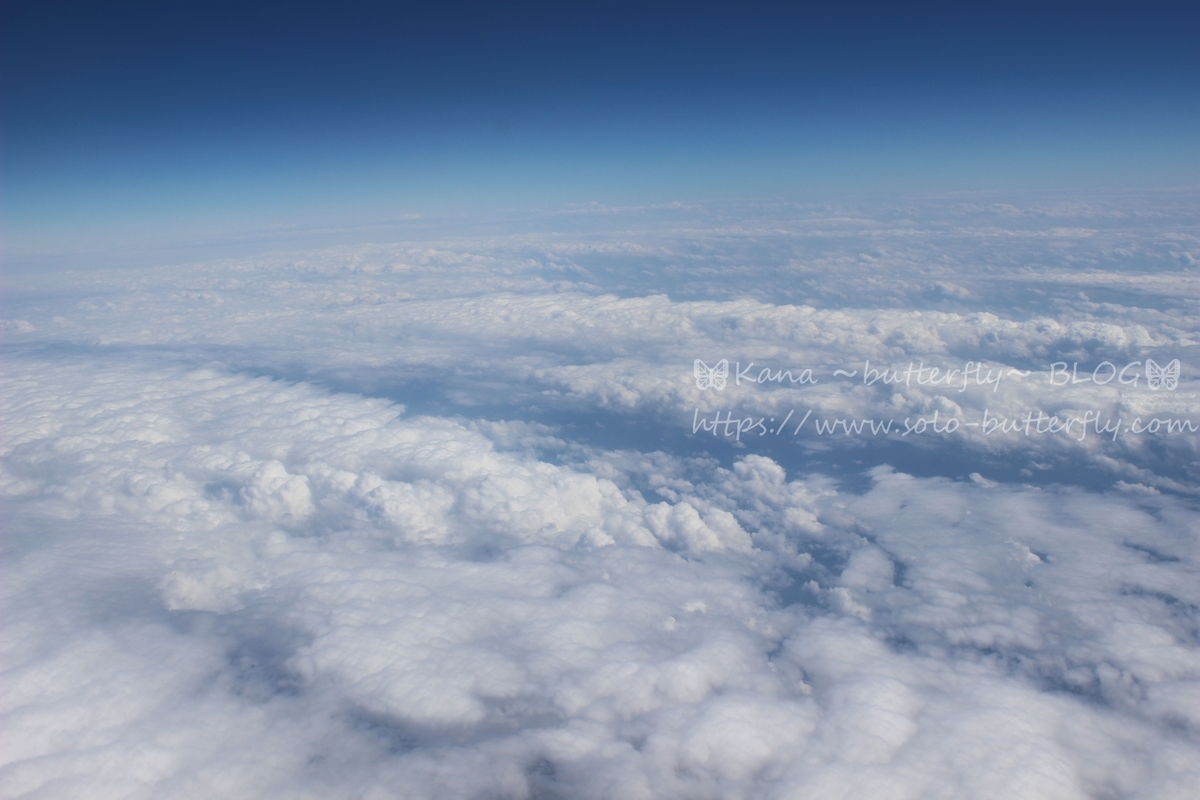 f:id:solo-butterfly:20220312211515j:plain