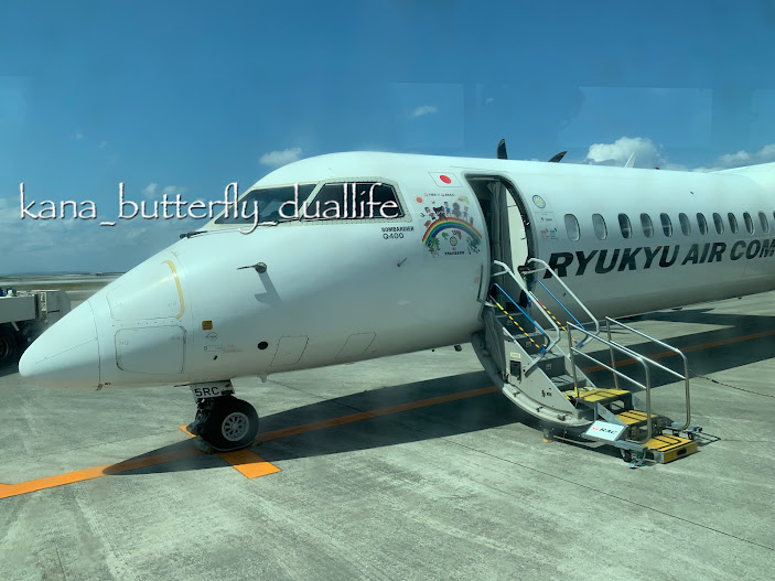 f:id:solo-butterfly:20220408012318j:plain