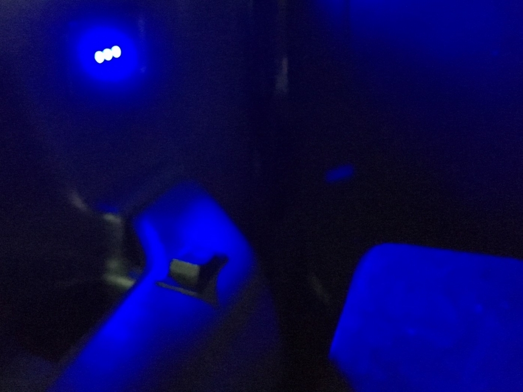自作LEDルームランプ点灯時の車内
