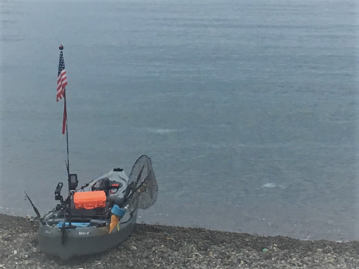 若狭湾に初出艇 海中撮影では攻撃的なお客様も 青物に会いたい