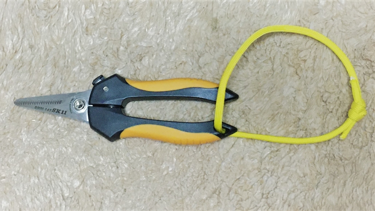 釣った魚のヒレを切りたい！タックルボックスに小さな万能はさみを 