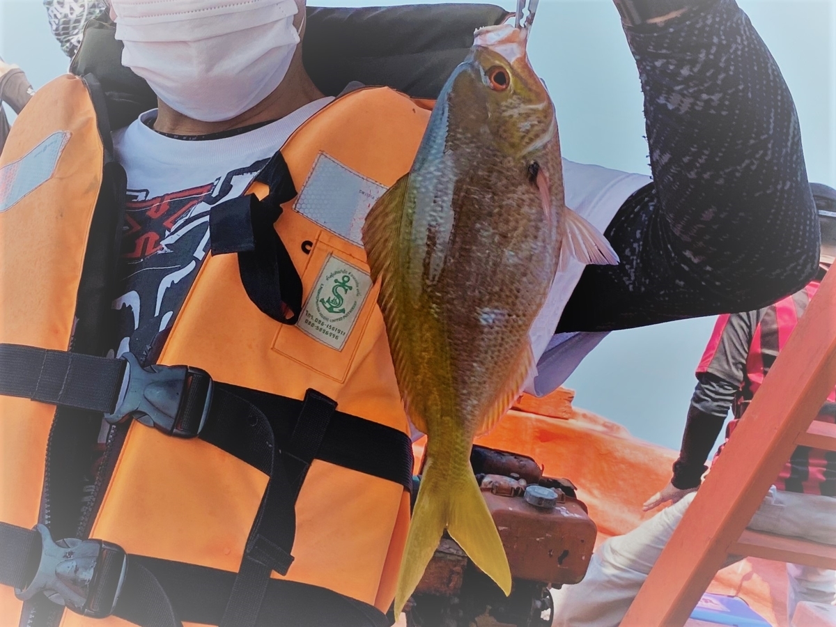水深３０ ５０ｍで釣れたのは タイでも海釣りがしたい 青物に会いたい