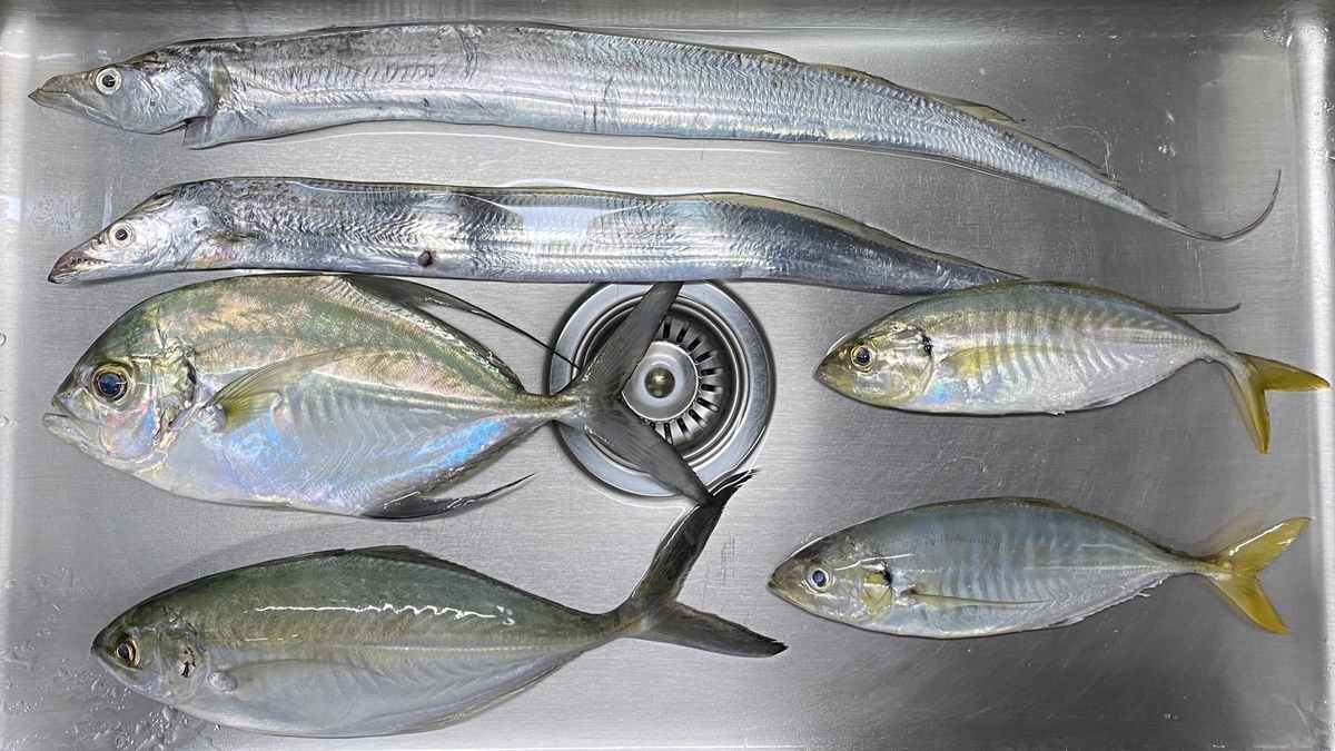 タイ　シーチャン島でアジ釣り