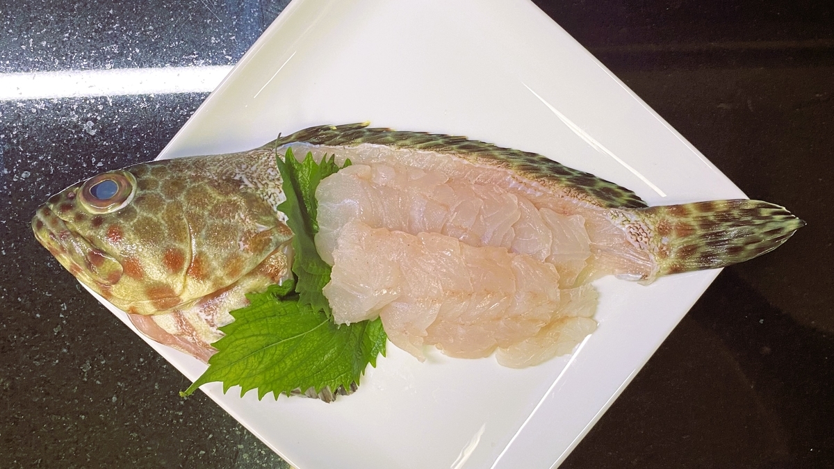 オオモンハタのおつくり