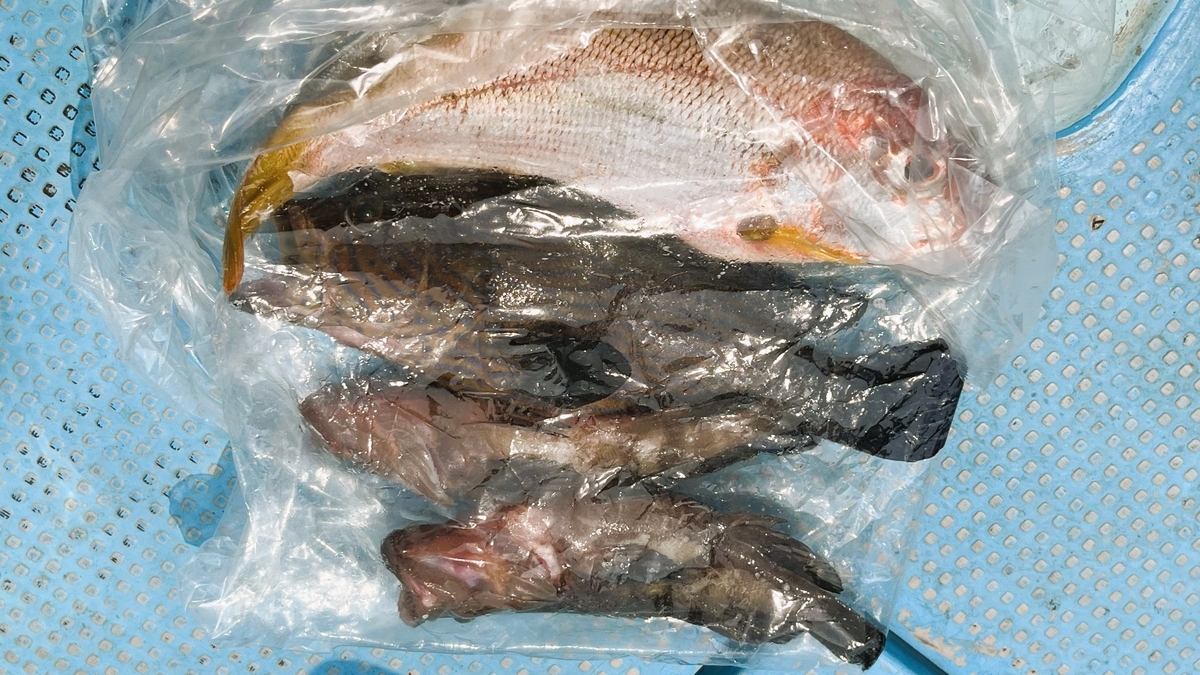ソンクランのタイ海釣り