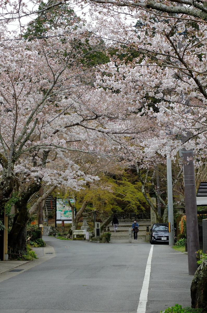 毘沙門堂門跡 山科疎水