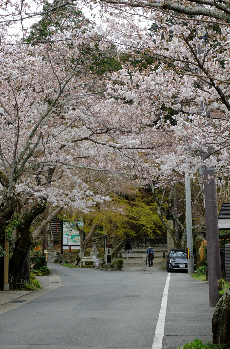 毘沙門堂門跡　山科疎水