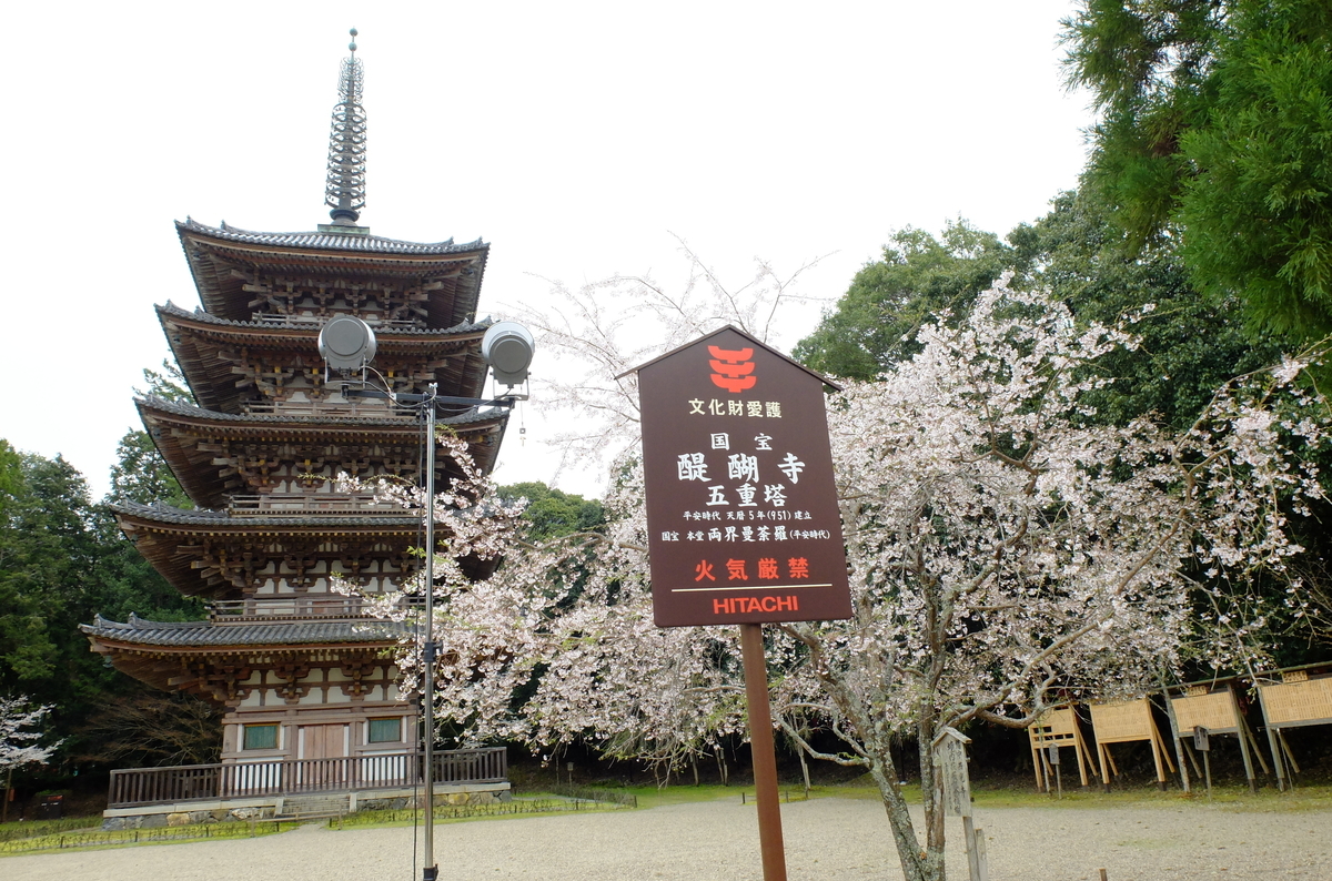 醍醐寺 桜