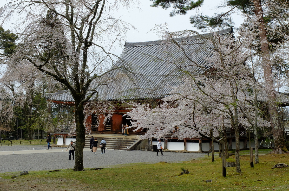 醍醐寺　国宝　