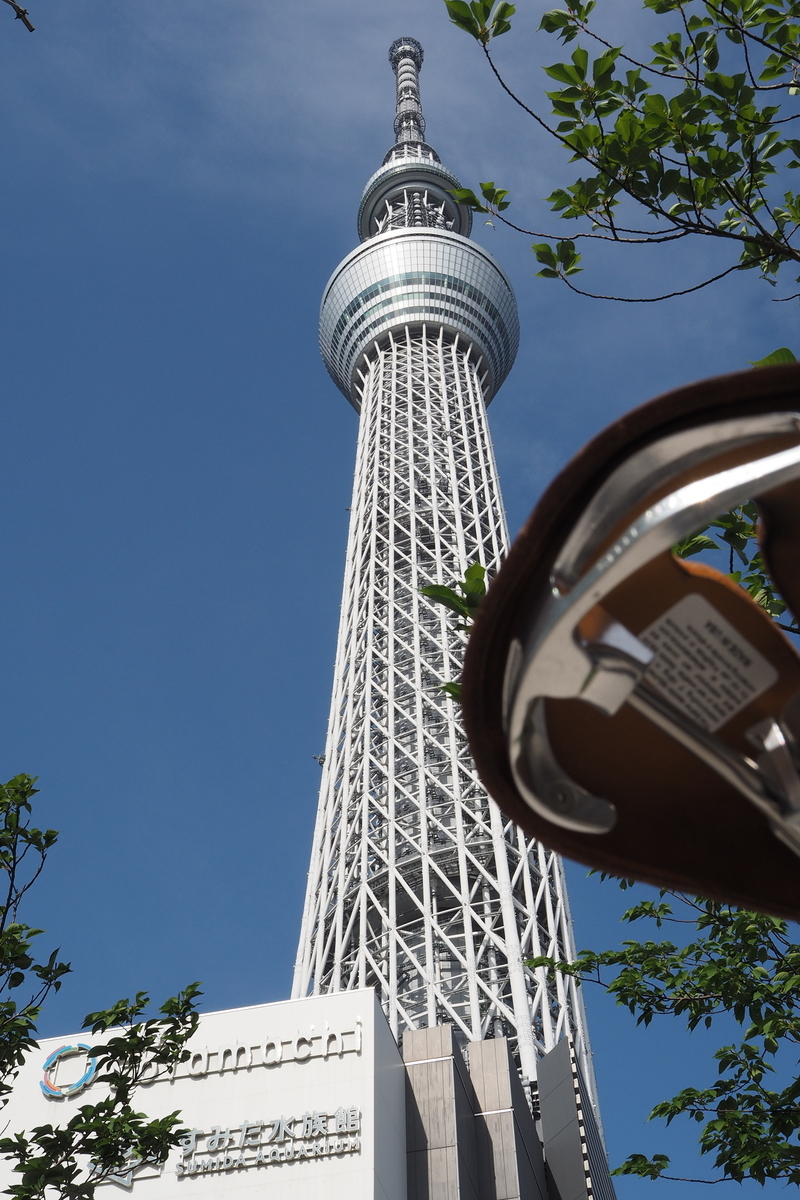 スカイツリー ブロンプトン