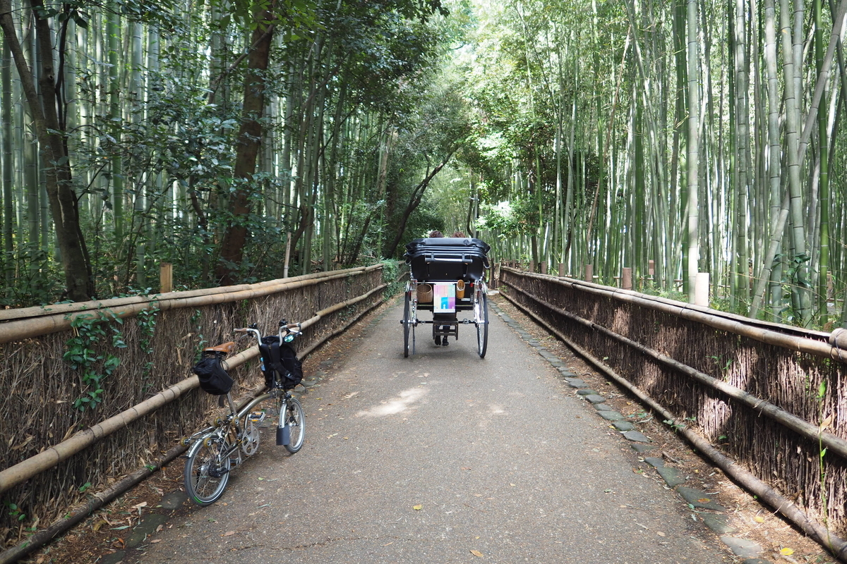 京都 輪行 嵐山 竹林