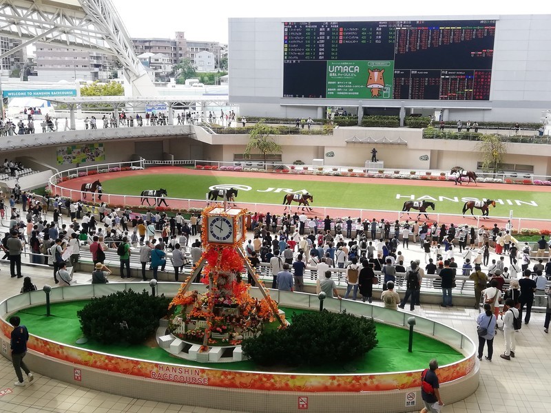 地方競馬めぐり 一瞬の思いは永遠だ。全国の競馬場を踏破しよう。 地方競馬めぐり: 一瞬の思いは永遠だ。全国の競馬場を踏破しよう