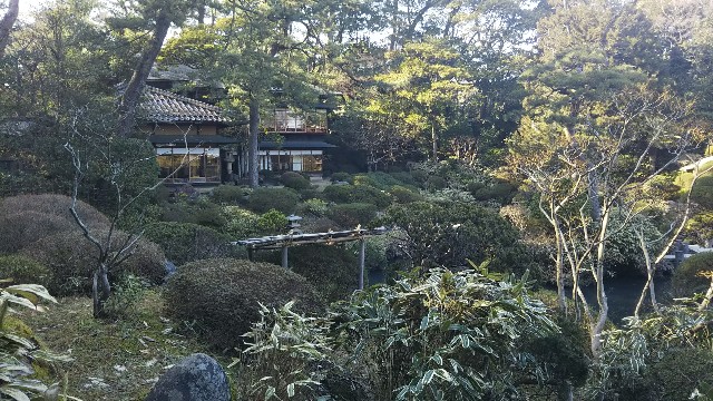 f:id:soma-f:20190307171931j:image f:id:soma-f:20190307171931j:image