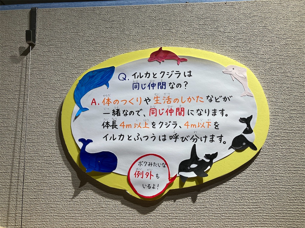 f:id:soma_u25:20201206173143j:image f:id:soma_u25:20201206173143j:image