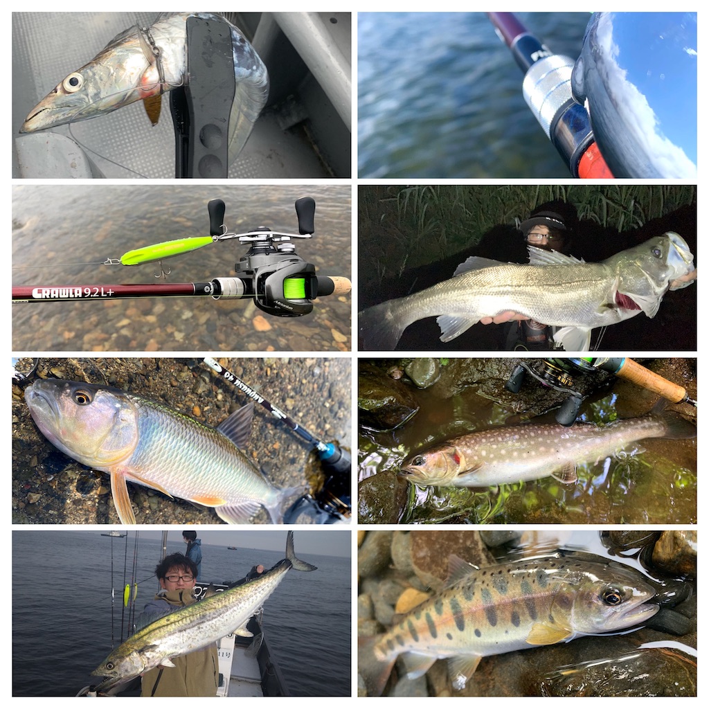 クプアス48 BOMBADA×TULALA Kupuasu 48（ボンバダ×ツララ クプアス 48