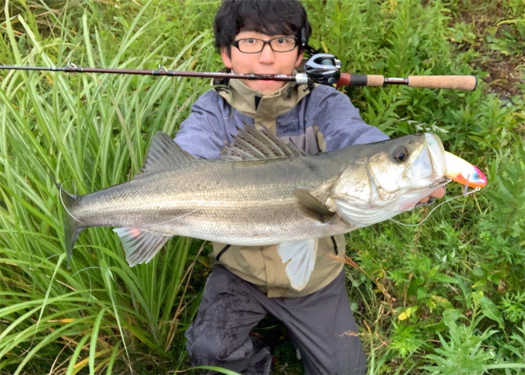 2020年買って良かった釣具とあいさつ - somakun's blog