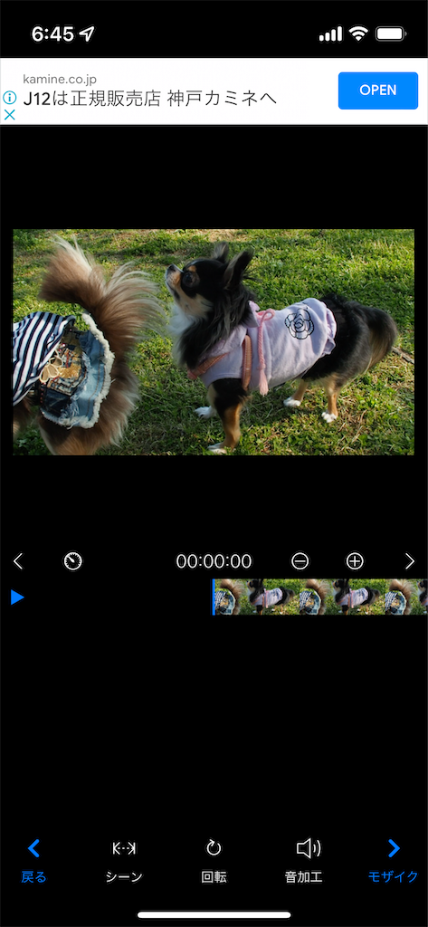 f:id:somalica:20220705210943p:image f:id:somalica:20220705210943p:image