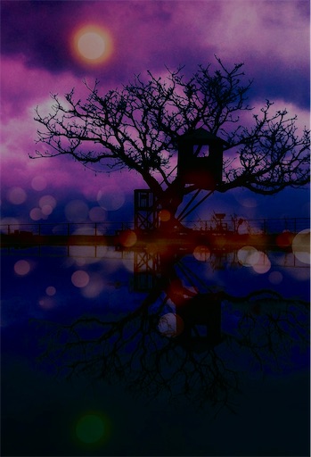 f:id:somalica:20240420212608j:image