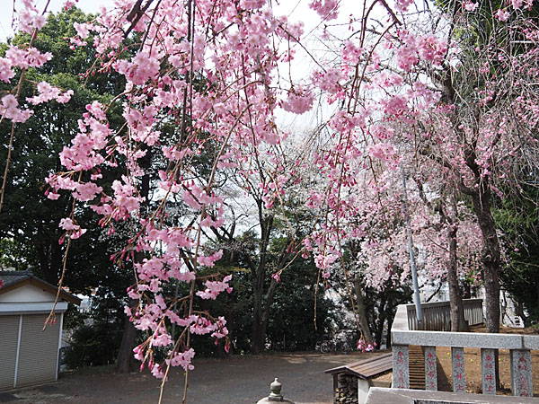 f:id:somarimin:20220403095620j:plain