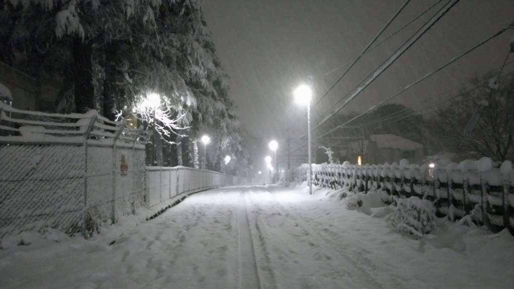 f:id:somegoro:20180122225856j:plain f:id:somegoro:20180122225856j:plain