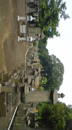 f:id:someguys:20080515123317j:image