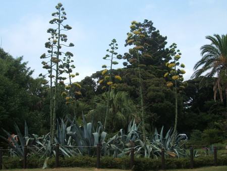 f:id:someguys:20080809184429j:image