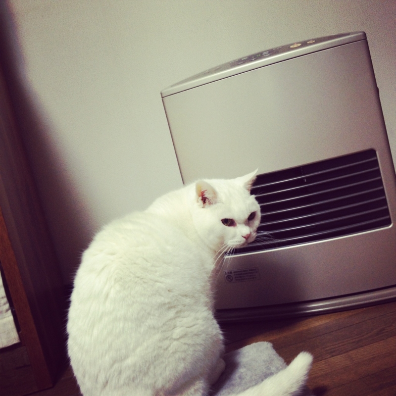 f:id:somei2012:20121209181254j:plain