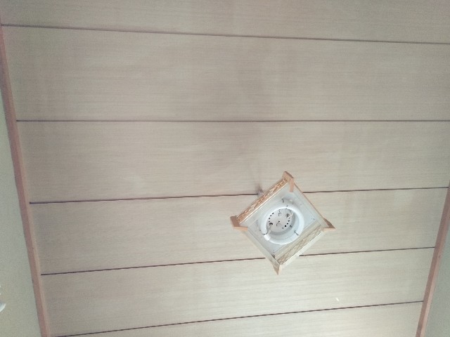 f:id:somei2012:20200714063215j:plain f:id:somei2012:20200714063215j:plain