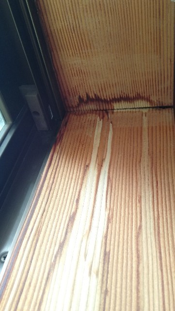 悲報 2階から1階まで雨漏り箇所を発見 嫁を迎えるまで淡々と