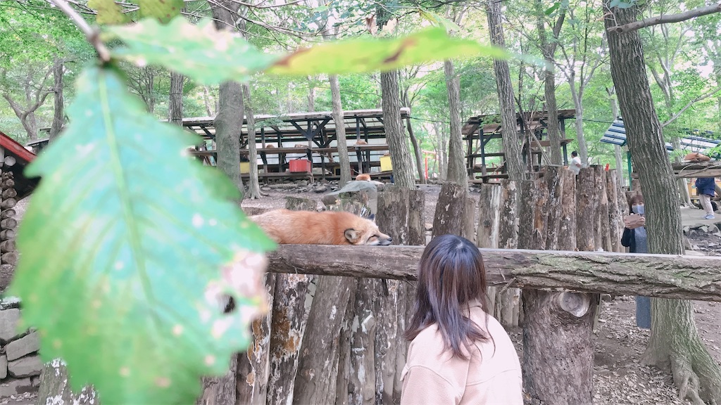 f:id:someiyu:20201108050251j:image