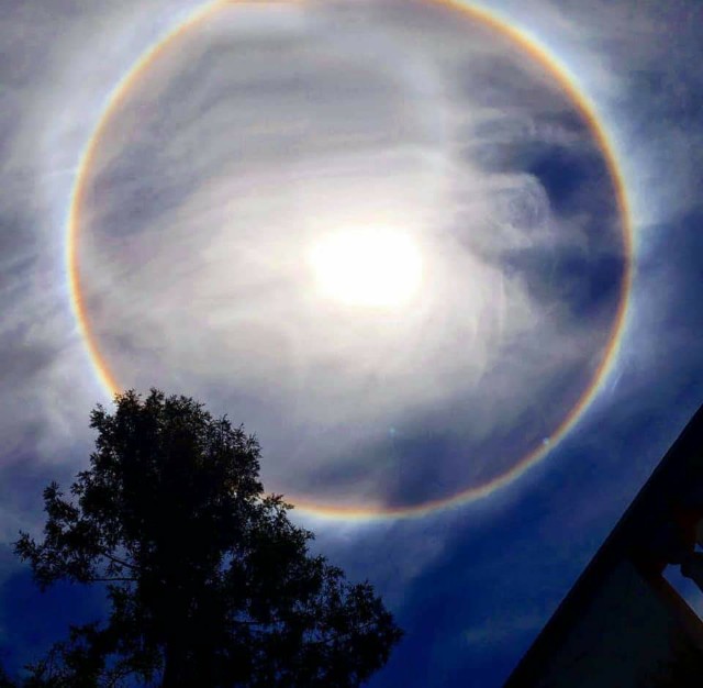 f:id:somin753:20190107171743j:image f:id:somin753:20190107171743j:image