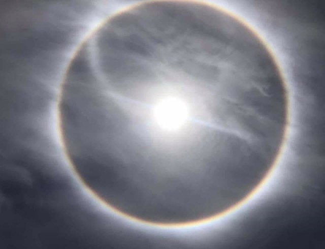 f:id:somin753:20190107171758j:image