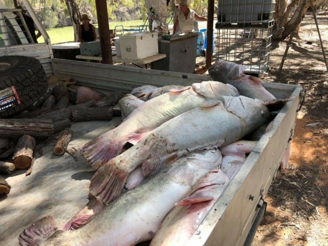 f:id:somin753:20190110120817j:image f:id:somin753:20190110120817j:image