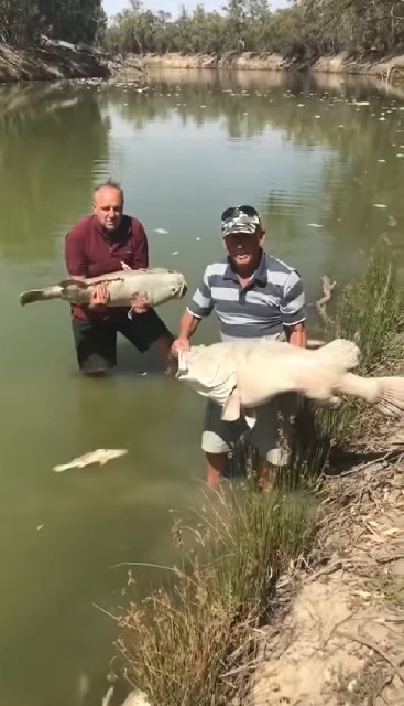 f:id:somin753:20190111081006j:image f:id:somin753:20190111081006j:image